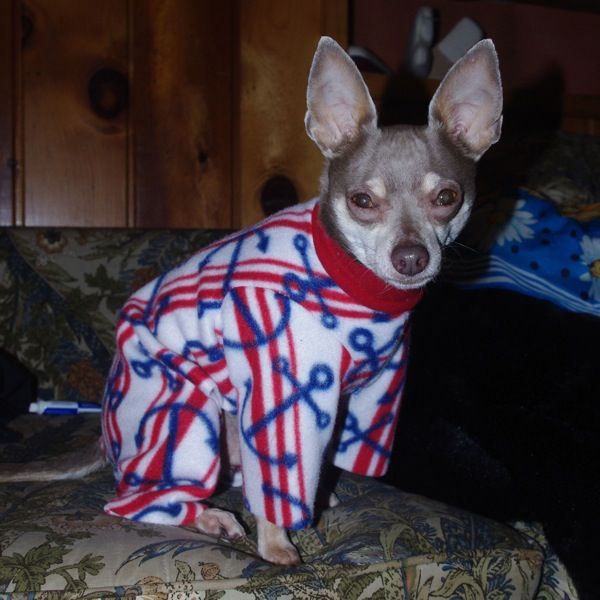 Simplicity Bark Avenue 3939 pattern review by MissCelie